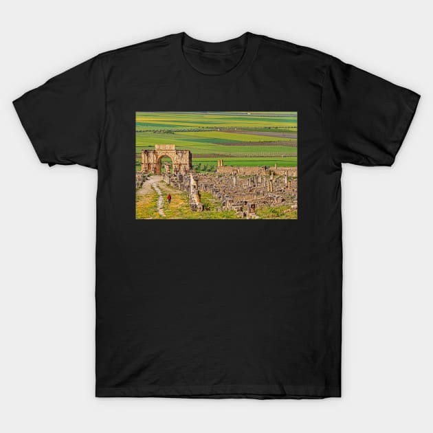 Triumphal Arch & Town, Volubilis T-Shirt by bulljup